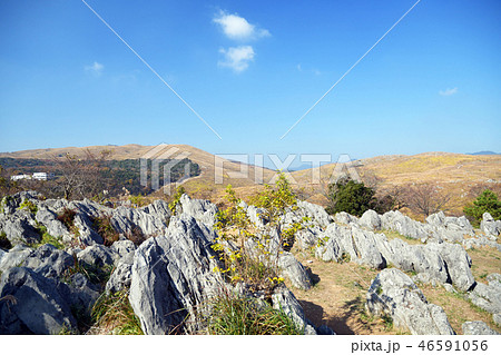 カルスト地形 秋吉台 カルスト地形 秋吉台 46591056
