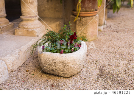 Green potted plants in beautiful pot outdoor 46591225