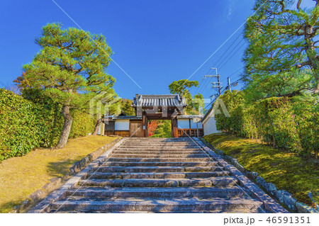 京都　初秋の霊鑑寺　　　 46591351