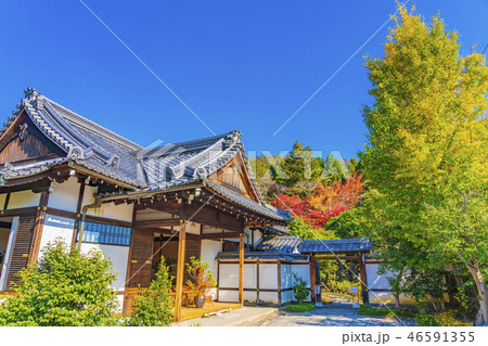 京都　初秋の霊鑑寺　　　 46591355