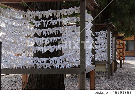 おみくじと絵馬 おみくじと絵馬 46591363