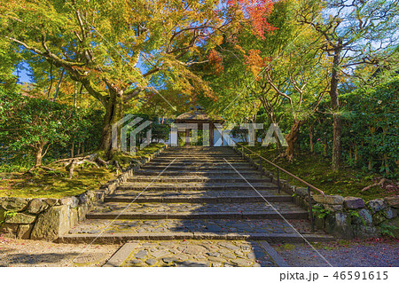 京都　初秋の安楽寺 46591615