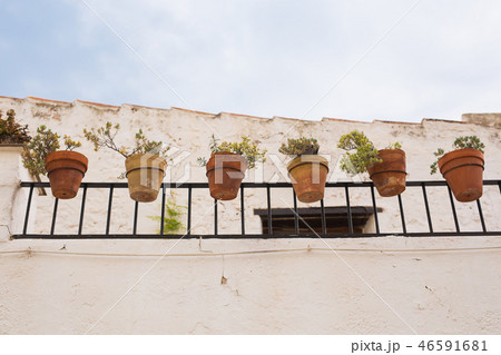 Green potted plants in beautiful pot outdoor Green potted plants in beautiful pot outdoor 46591681
