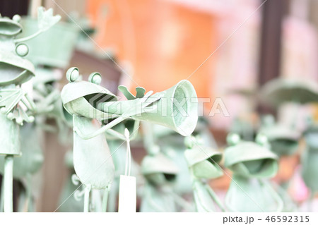 カエルの音楽祭 46592315