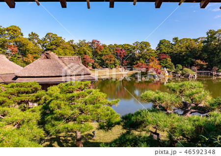 鳳翔台から眺める玄宮園 46592348