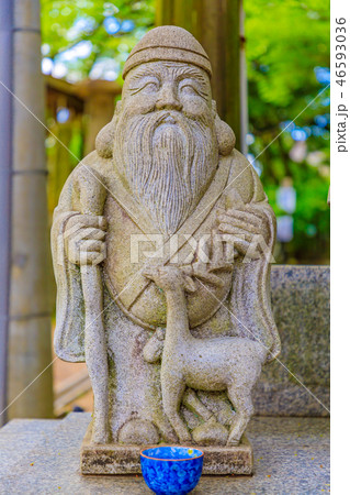 京都　藤森神社　七福神　寿老人 46593036