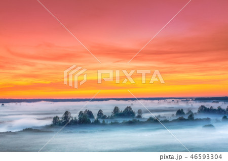 Misty Landscape. Scenic View Morning Sky Above Misty Forest. Aut 46593304