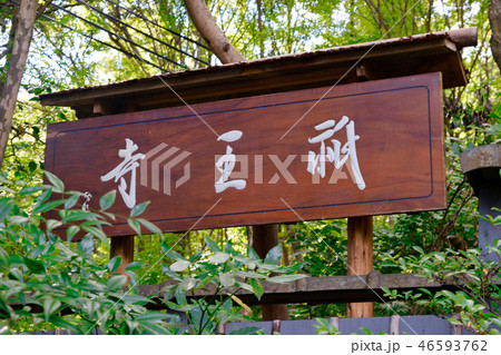 祇王寺（京都） 46593762