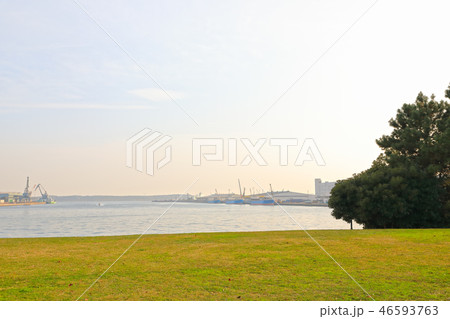 水の広場公園 水の広場公園 46593763