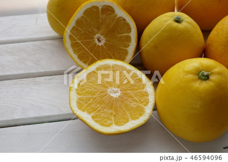 河内晩柑 46594096