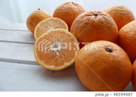 スルガエレガント 46594097