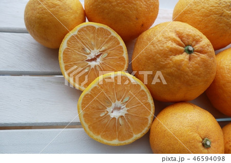 スルガエレガント 46594098