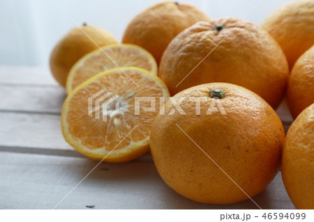 スルガエレガント 46594099