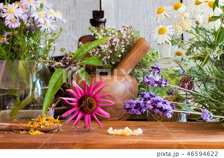 Echinacea, lavender, chamomile, yarrow and herbs Echinacea, lavender, chamomile, yarrow and herbs 46594622