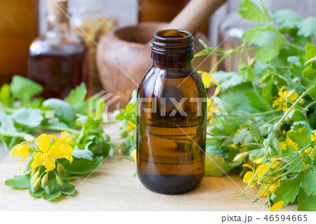 Greater celandine tincture with fresh Chelidonium 46594665