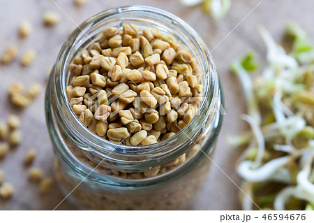 Fenugreek seeds and sprouted fenugreek Fenugreek seeds and sprouted fenugreek 46594676