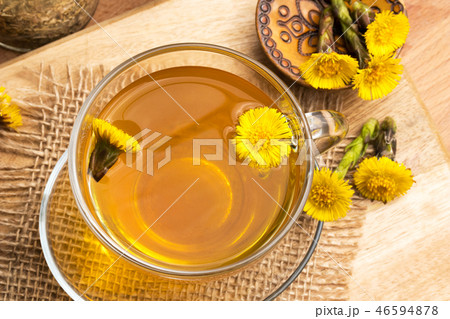 Coltsfoot (Tussilago farfara) tea and flowers 46594878
