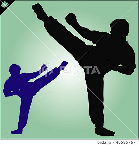 Martial art colored simbol design. Karate emblem. 46595767