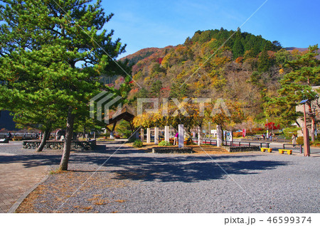 紅葉の奥多摩湖 紅葉の奥多摩湖 46599374
