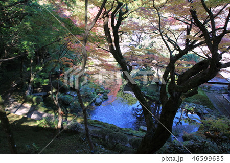 雷山千如寺（糸島市） 46599635
