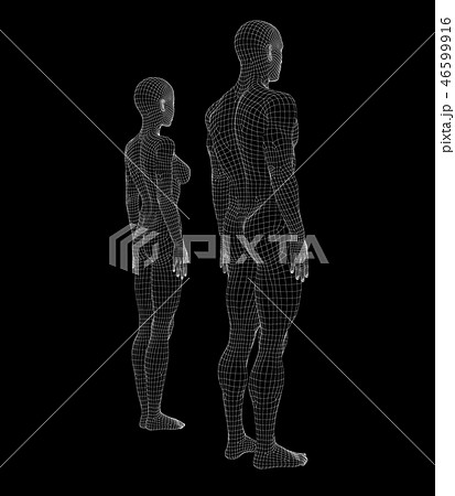 ワイヤーフレーム　男女の体　perming3DCGイラスト素材 46599916