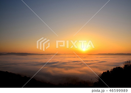 大撫山 大撫山 46599989