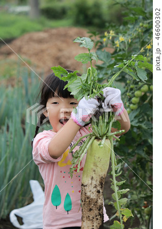 畑でお手伝いする女の子 46600302
