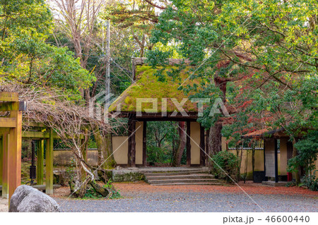 俳聖殿の門 伊賀上野城 46600440