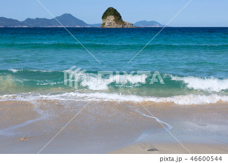 ハマンナ 46600544