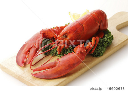 ロブスター 46600633