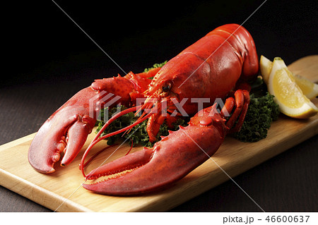 ロブスター 46600637