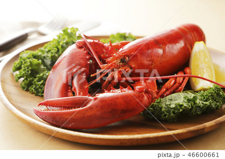 ロブスター 46600661