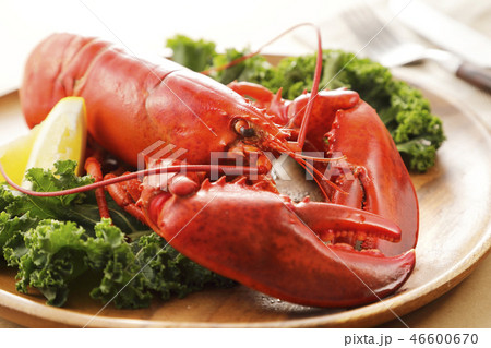ロブスター 46600670