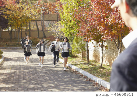 10代 30代 バッグ 46600911