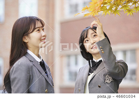 高校生 屋外 室外 46601034