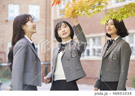 高校生 屋外 室外 46601038