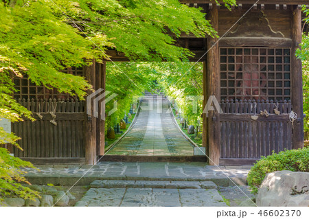 輪王寺山門 初夏 輪王寺山門 初夏 46602370