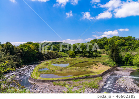 （静岡県）棚田と富士山 46602385