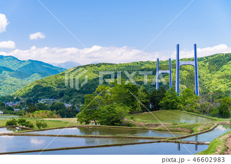 棚田と東名高速道路の高架橋 46602983
