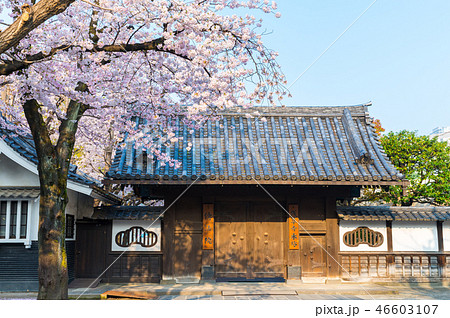 浅草寺本坊 伝法院の門 春 （東京都台東区） ※2018年3月撮影 46603107