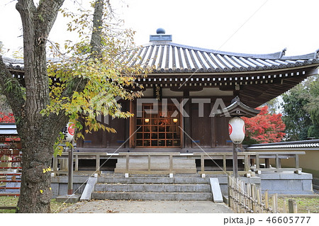 東漸寺のお堂　（千葉県松戸市とうぜんじ）  46605777