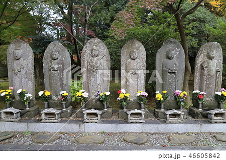 東漸寺の六地蔵 (千葉県松戸市とうぜんじ) 東漸寺の六地蔵 (千葉県松戸市とうぜんじ) 46605842