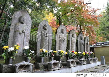 東漸寺の六地蔵　（千葉県松戸市とうぜんじ）　 46605844
