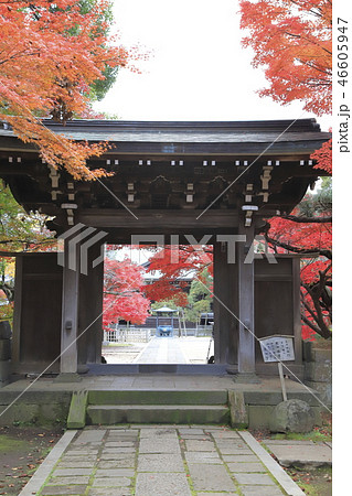 東漸寺の中雀門　（千葉県松戸市とうぜんじ）  46605947