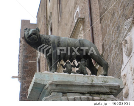 ローマ市庁舎　ローマの起源 46608955