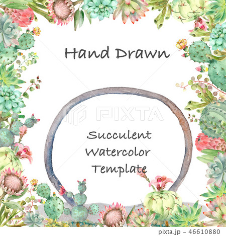 Succulents card watercolor 46610880