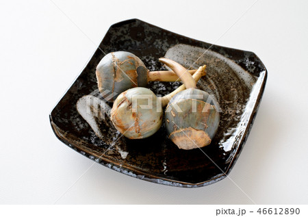 クワイ クワイ 46612890