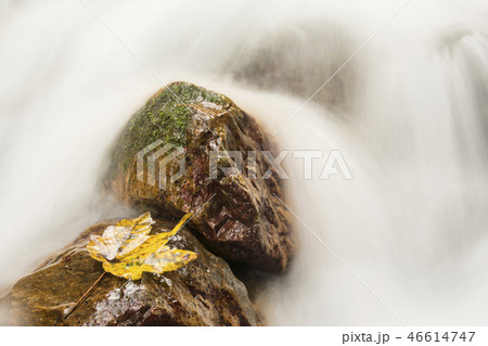Waterfall detail with yellow leaf on wet stones 46614747