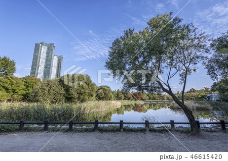 ソウルの森 城東区 ソウル 46615420