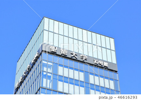 聖徳大学 松戸市 聖徳大学 松戸市 46616293